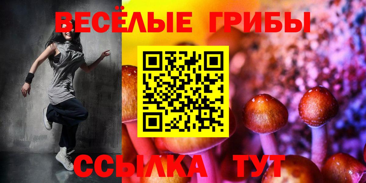 Галлюциногенные грибы Psilocybine cubensis  Вход с VPN  Сафоново 
