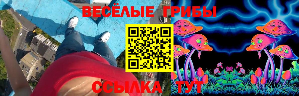 Псилоцибиновые грибы ЛСД Сафоново